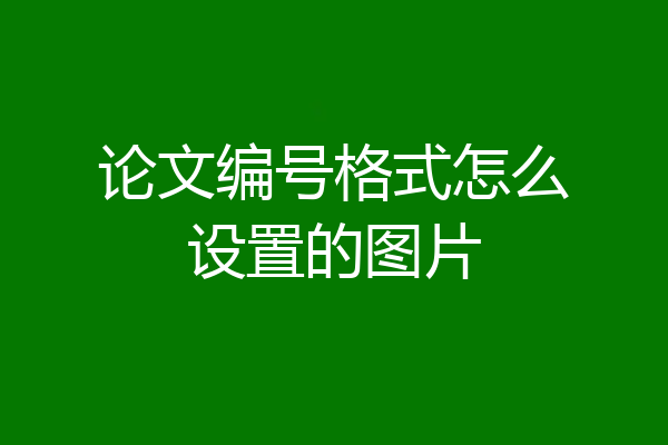 论文编号格式怎么设置的图片