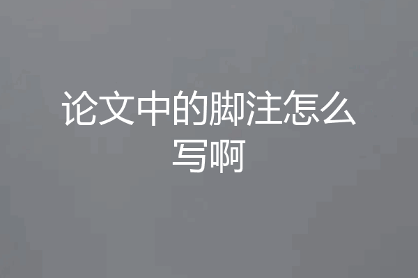 论文中的脚注怎么写啊