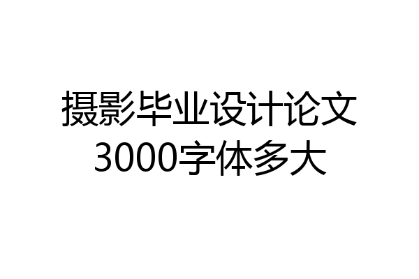 摄影毕业设计论文3000字体多大