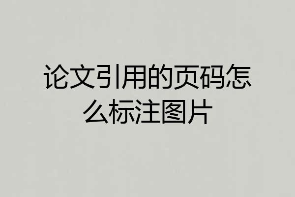 论文引用的页码怎么标注图片