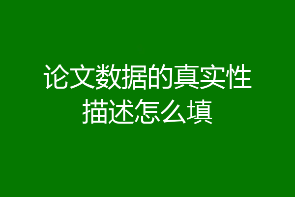 论文数据的真实性描述怎么填