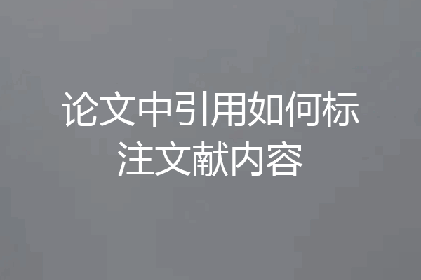 论文中引用如何标注文献内容