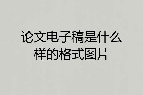 论文电子稿是什么样的格式图片