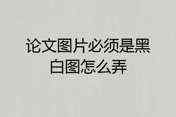 论文图片必须是黑白图怎么弄