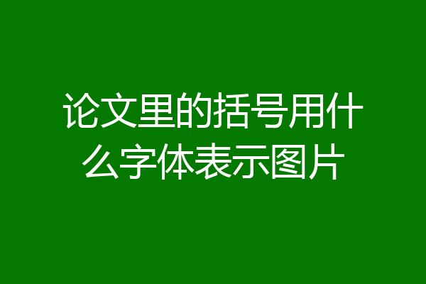 论文里的括号用什么字体表示图片