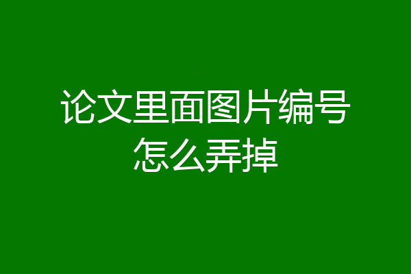 论文里面图片编号怎么弄掉