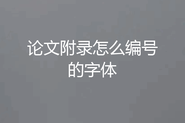 论文附录怎么编号的字体