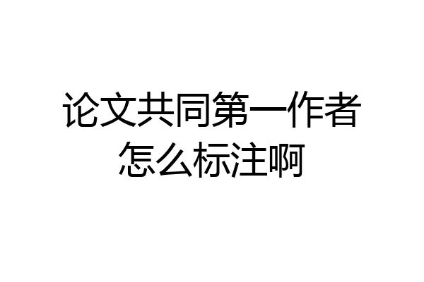 论文共同第一作者怎么标注啊