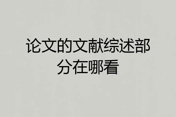 论文的文献综述部分在哪看