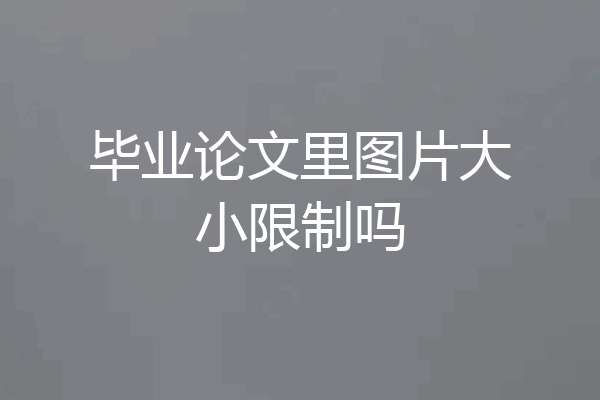 毕业论文里图片大小限制吗