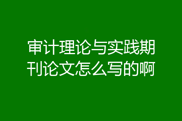 审计理论与实践期刊论文怎么写的啊