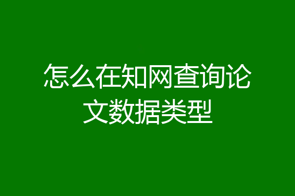 怎么在知网查询论文数据类型
