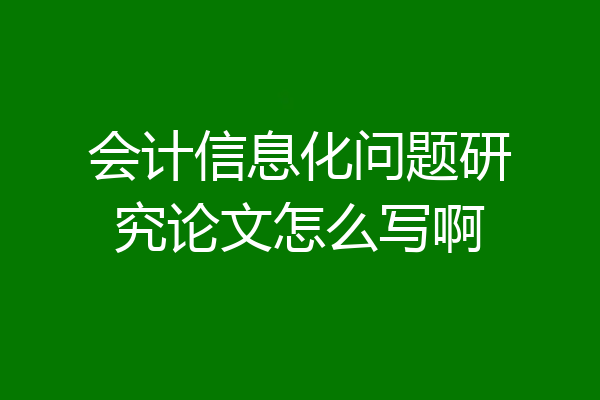 会计信息化问题研究论文怎么写啊