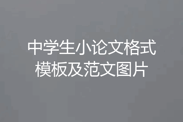 中学生小论文格式模板及范文图片