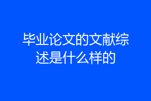 毕业论文的文献综述是什么样的