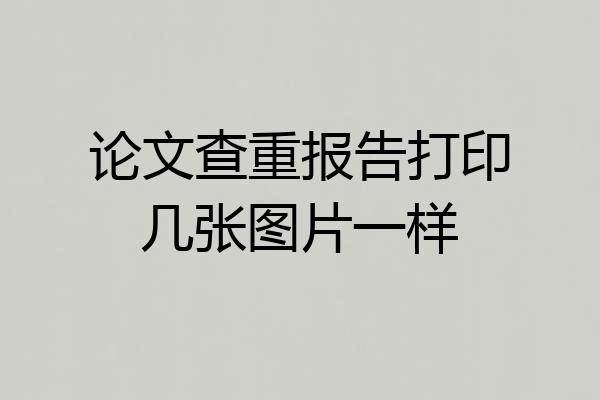 论文查重报告打印几张图片一样