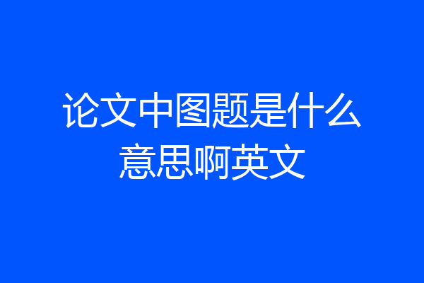 论文中图题是什么意思啊英文
