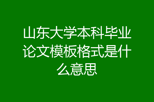 山东大学本科毕业论文模板格式是什么意思