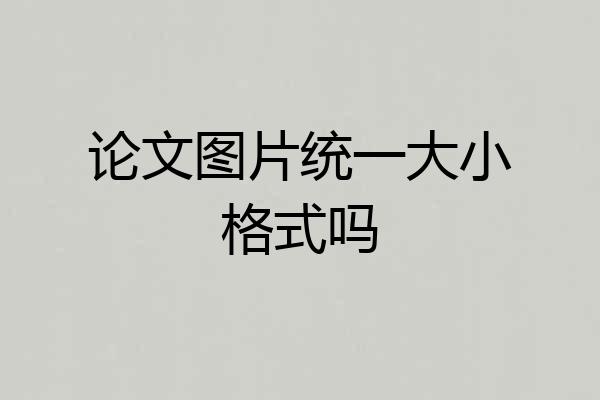 论文图片统一大小格式吗