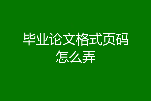 毕业论文格式页码怎么弄