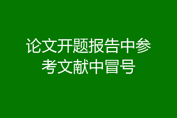 论文开题报告中参考文献中冒号