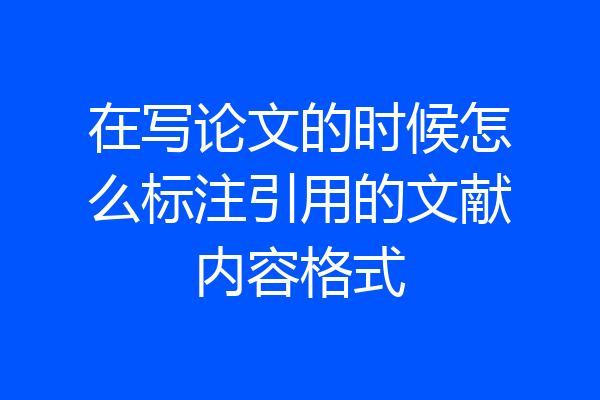 在写论文的时候怎么标注引用的文献内容格式