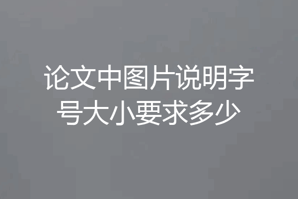 论文中图片说明字号大小要求多少