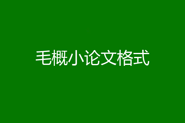 毛概小论文格式
