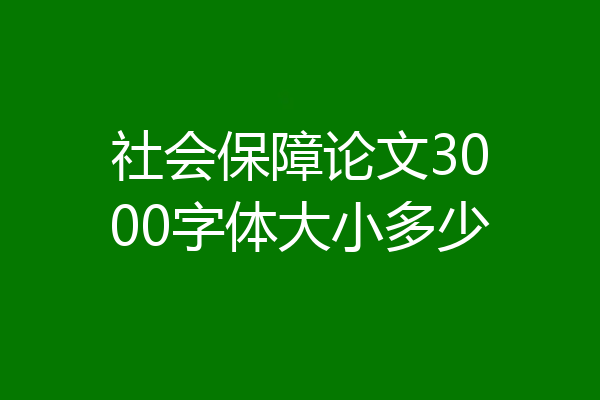 社会保障论文3000字体大小多少