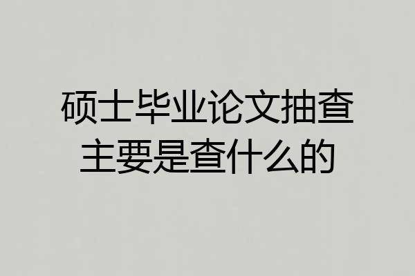 硕士毕业论文抽查主要是查什么的