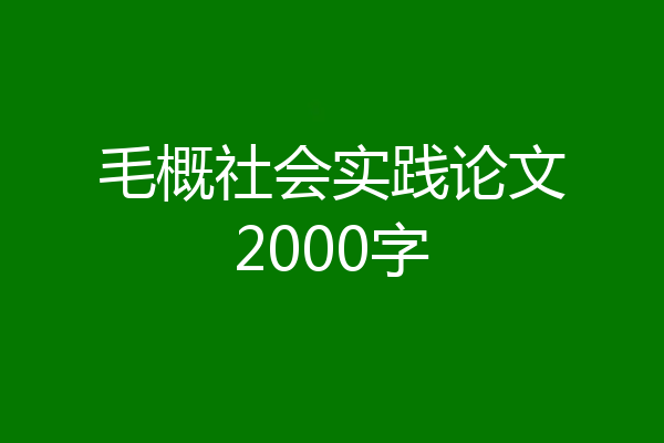 毛概社会实践论文2000字