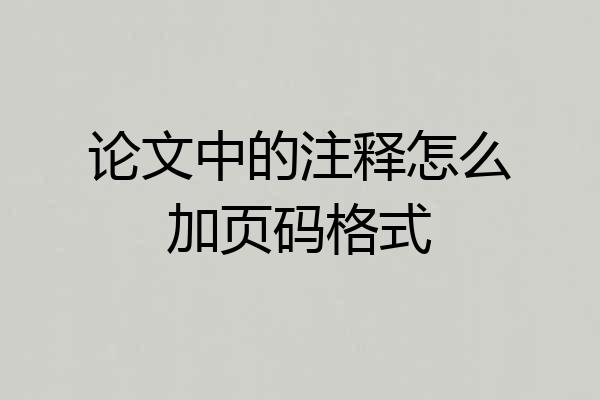 论文中的注释怎么加页码格式