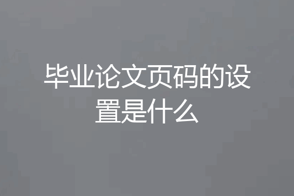 毕业论文页码的设置是什么