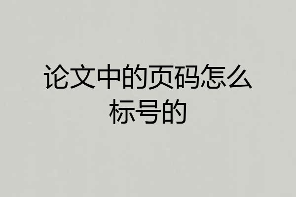 论文中的页码怎么标号的