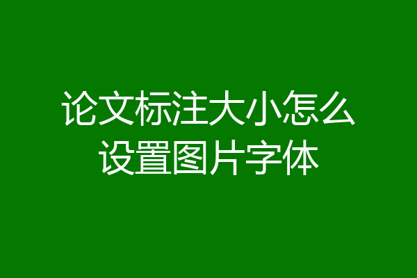 论文标注大小怎么设置图片字体