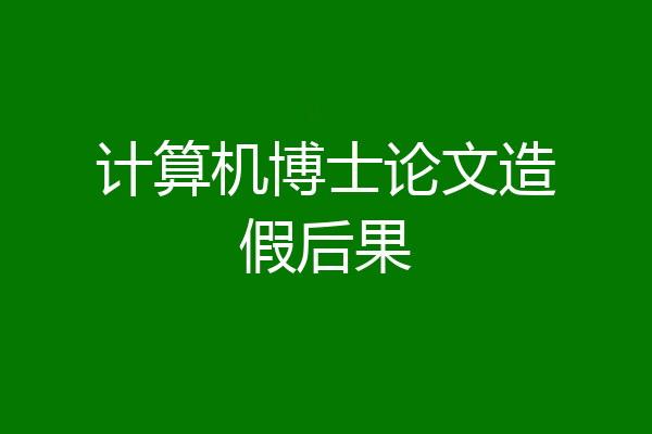 计算机博士论文造假后果