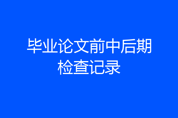 毕业论文前中后期检查记录