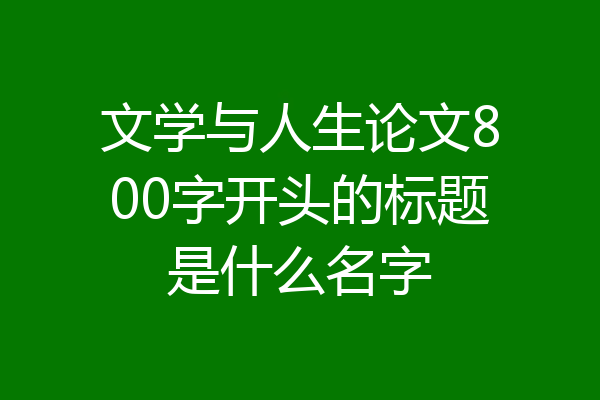 文学与人生论文800字开头的标题是什么名字
