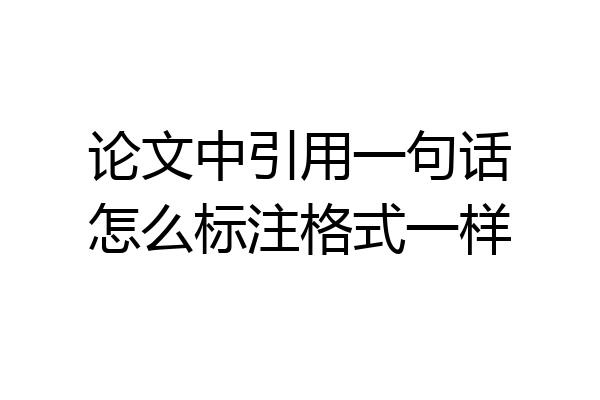 论文中引用一句话怎么标注格式一样