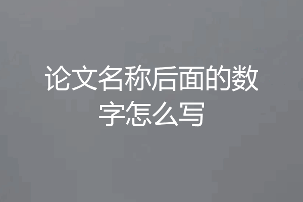 论文名称后面的数字怎么写