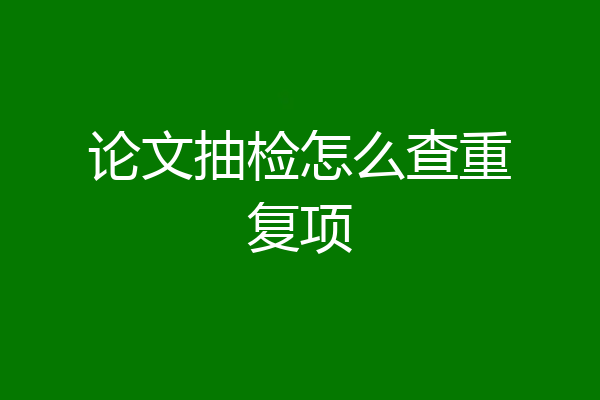 论文抽检怎么查重复项