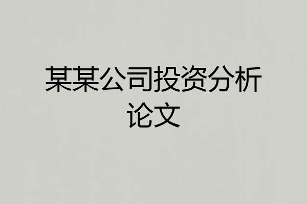 某某公司投资分析论文