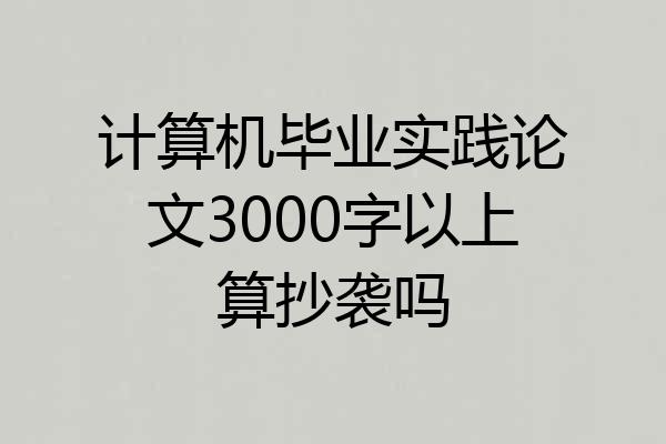 计算机毕业实践论文3000字以上算抄袭吗