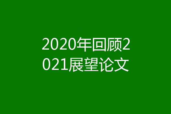 2020年回顾2021展望论文