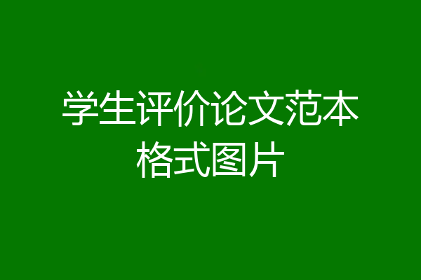 学生评价论文范本格式图片