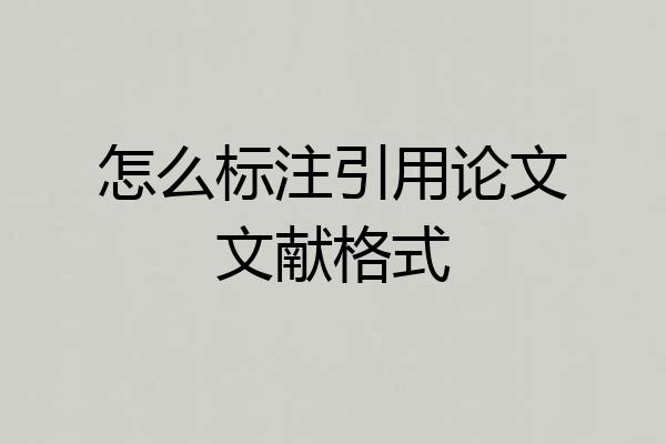 怎么标注引用论文文献格式