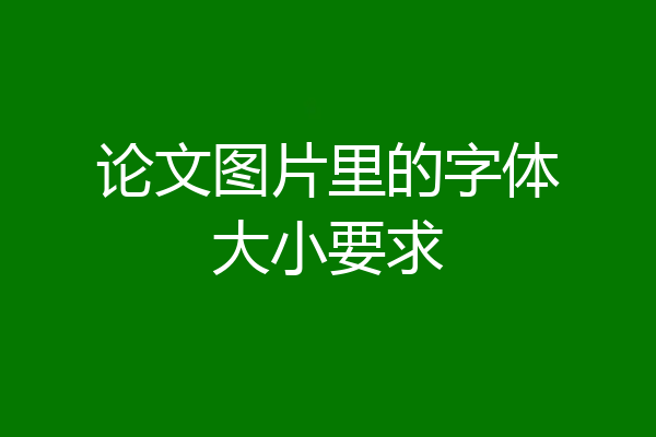 论文图片里的字体大小要求