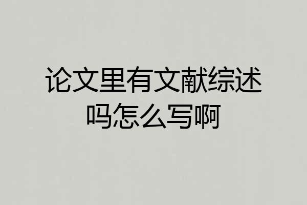 论文里有文献综述吗怎么写啊