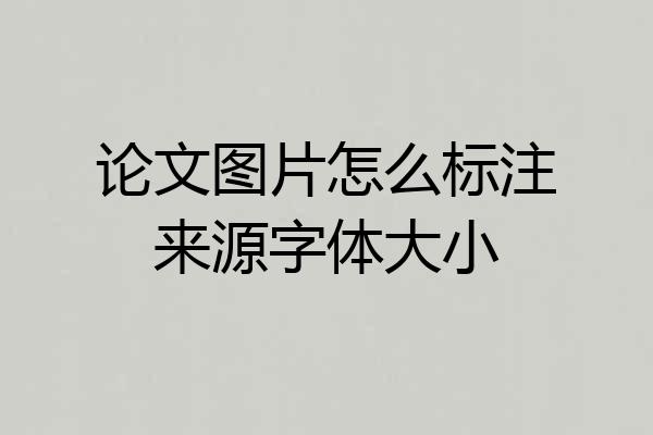 论文图片怎么标注来源字体大小