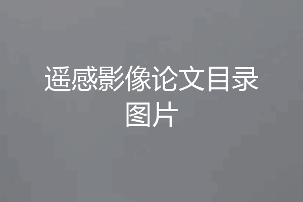 遥感影像论文目录图片
